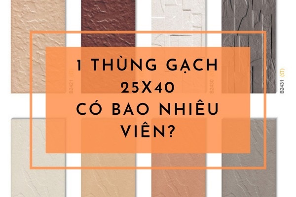 Giải Đáp Gạch 25×40 1 thùng bao nhiêu viên?